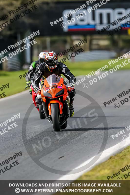 Oulton Park 21st March 2020;PJ Motorsport Photography 2020;anglesey;brands hatch;cadwell park;croft;donington park;enduro digital images;event digital images;eventdigitalimages;mallory;no limits;oulton park;peter wileman photography;racing digital images;silverstone;snetterton;trackday digital images;trackday photos;vmcc banbury run;welsh 2 day enduro